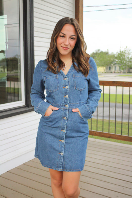 Dillon Denim Dress